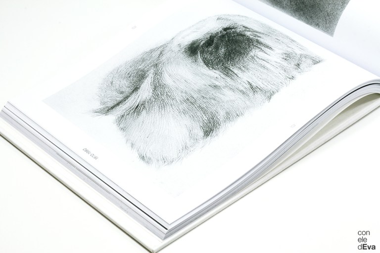 PresentaciónDeLaSota4