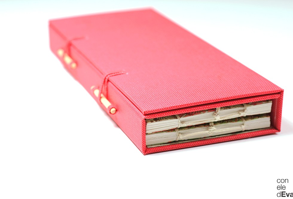 estuche_cruzado (5)